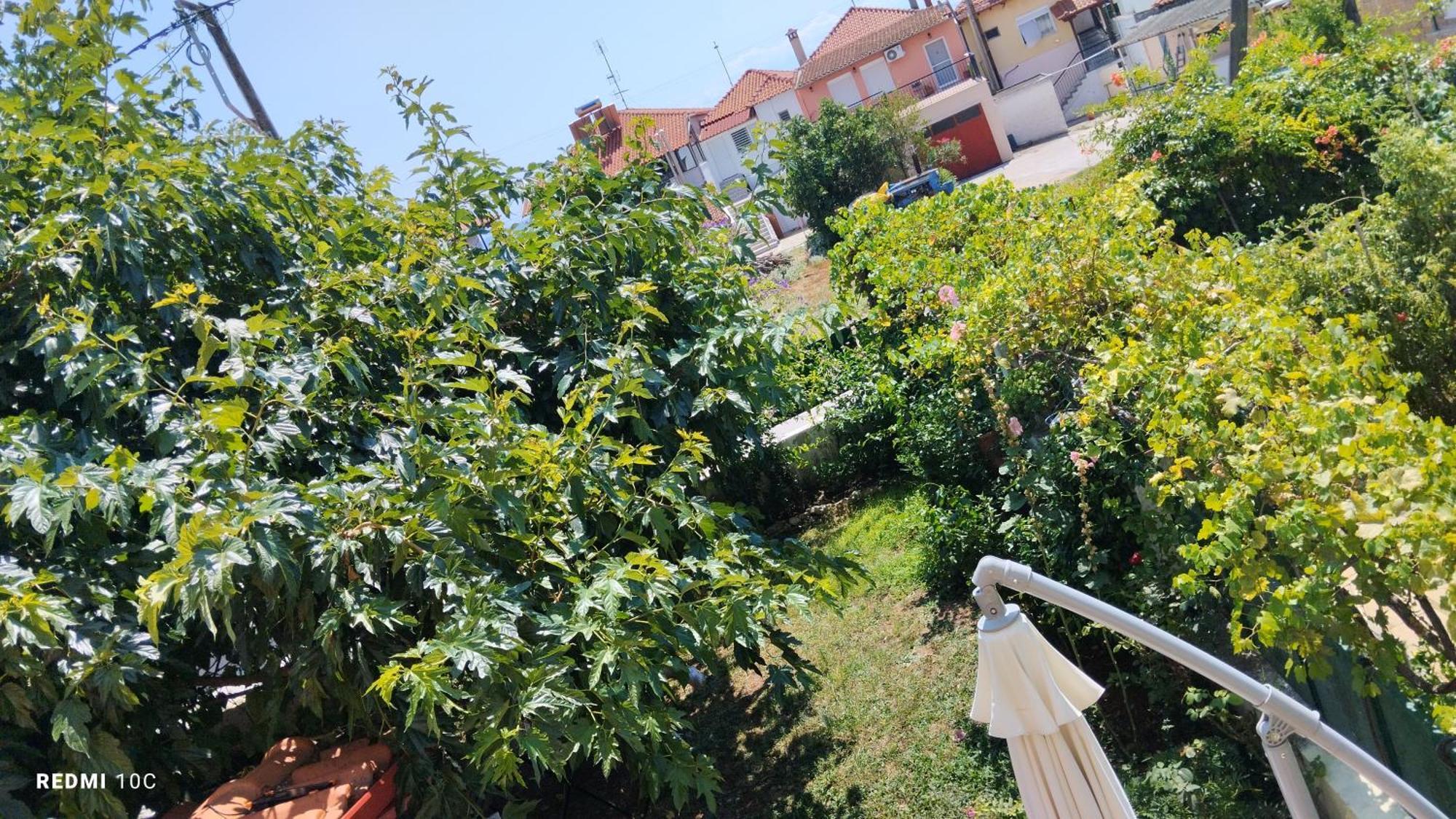 Holiday Home In Chalkidiki, Lakkoma Zewnętrze zdjęcie