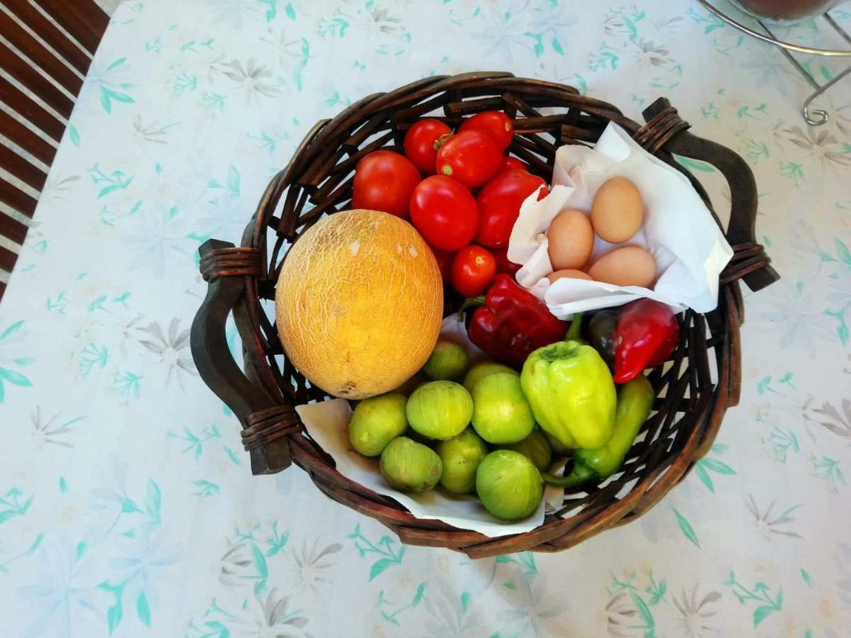Holiday Home In Chalkidiki, Lakkoma Zewnętrze zdjęcie
